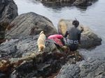 海女.JPG